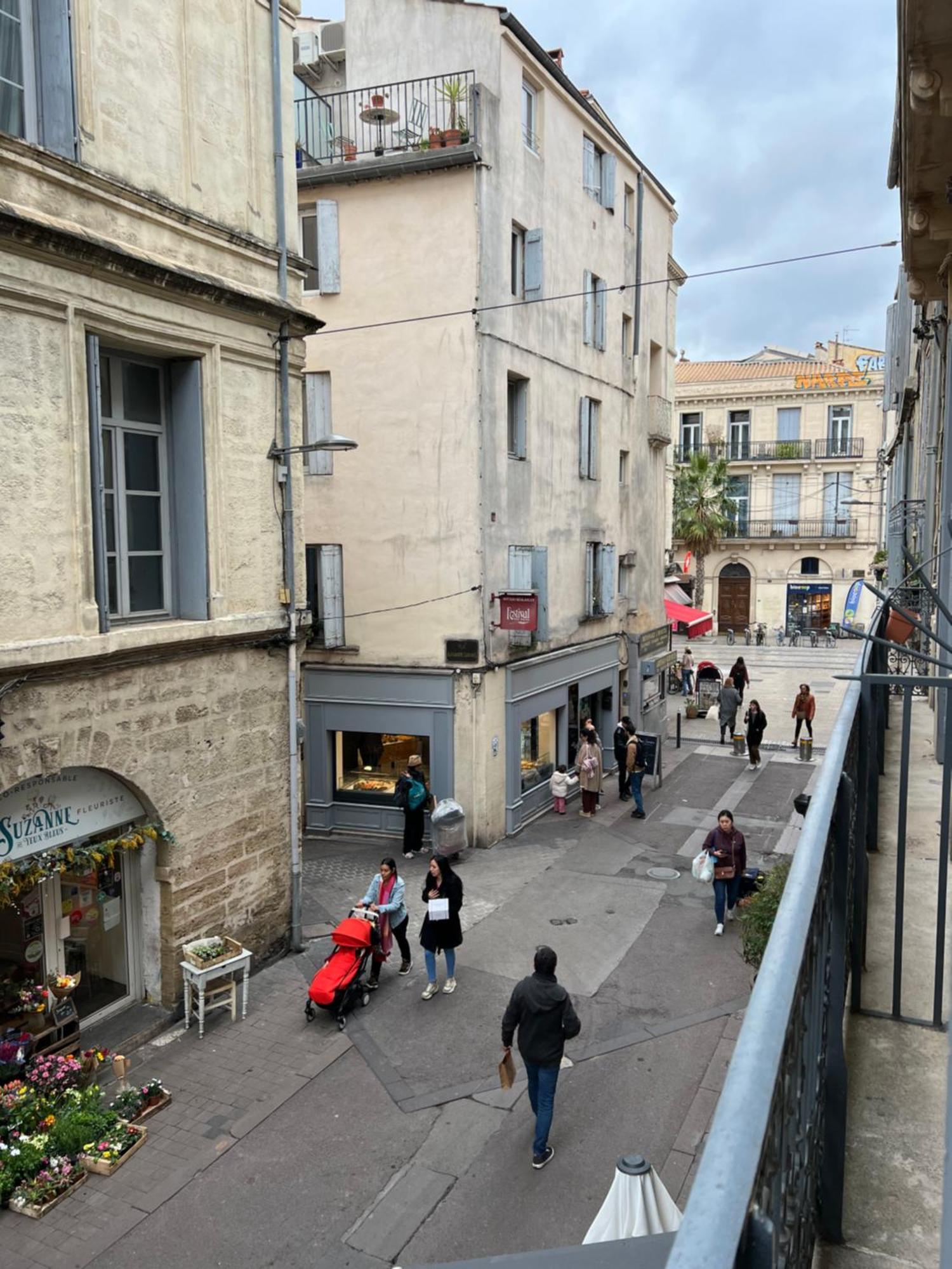 Centre Historique Rue Saint Guilhem Apartment Montpellier Ngoại thất bức ảnh