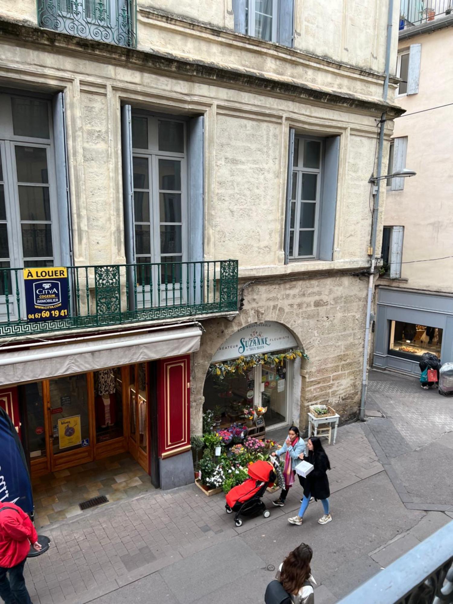 Centre Historique Rue Saint Guilhem Apartment Montpellier Ngoại thất bức ảnh